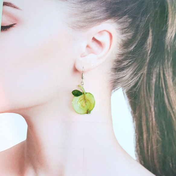 ミニ姫りんご 小さい 姫りんご 押しフルーツ ８枚 素材 キャンドル レジン 3枚目の画像