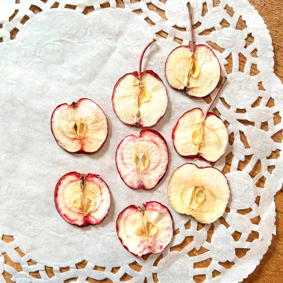 ミニ姫りんご 小さい 姫りんご 押しフルーツ ８枚 素材 キャンドル レジン 1枚目の画像