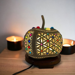 現品］【珍しい】22番 スキスマトグロッティス スコルテクニー 7号