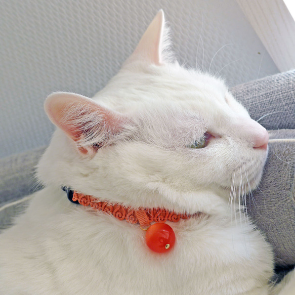 アウトレット　猫の首輪　ハートラインブレード　アプリコット 5枚目の画像