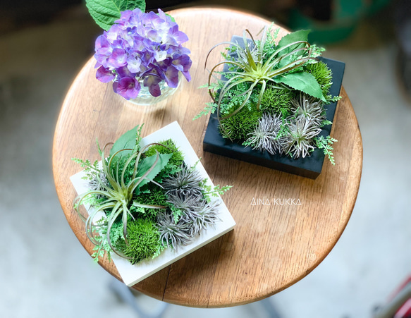 3WAY (壁掛け・置き型) [グリーンアートフレーム]アーティフィシャル