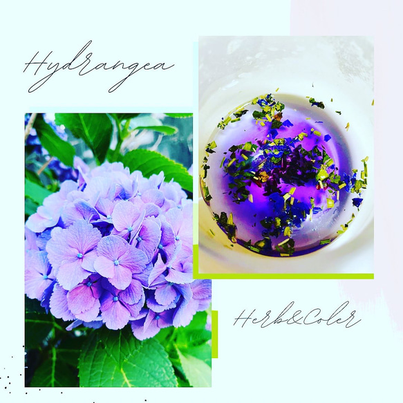 紫のハーブティー　「パープルインスピレーション」2包入り　ハーブ＆カラーシリーズ　スキッとガツンと！ 人気・おすすめ｜省スペース設計・旅行向けにおすすめ お得商品 プライバシー配送 期間限定入荷