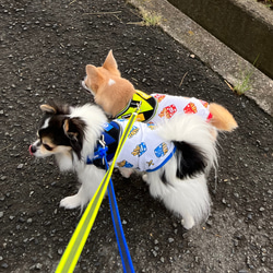 ⭐︎完成品⭐︎ハンドメイド犬服⭐︎ ポテト柄メッシュニット　タンクトップ　Mサイズ 3枚目の画像