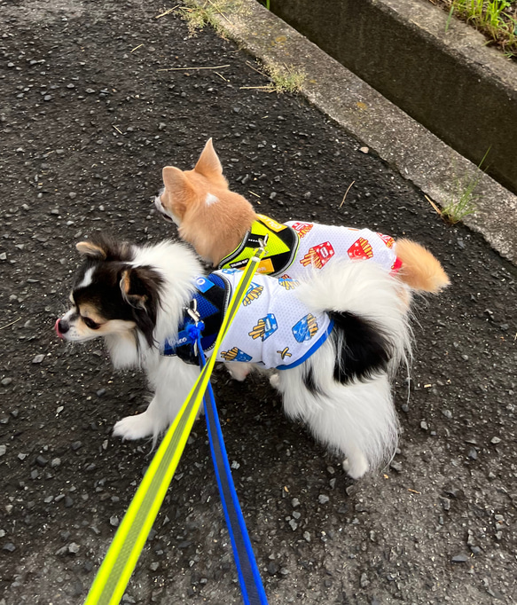 ⭐︎完成品⭐︎ハンドメイド犬服⭐︎ ポテト柄メッシュニット　タンクトップ　Mサイズ 3枚目の画像