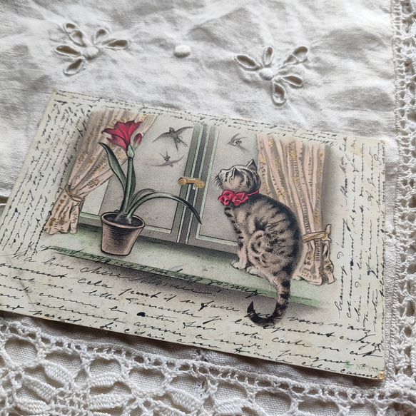 猫のアンティークポストカード その他素材 水星手芸店 通販｜Creema