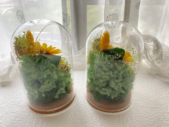 プリザーブドフラワー向日葵とプルメリアに幸せの四葉のクローバー ガラスドームアレンジ 結婚祝 敬老の日母の日ギフト 人気・おすすめ｜使いやすい・旅行におすすめ 品質保証 全国発送 正規品・日本国内発送・安心保証付き