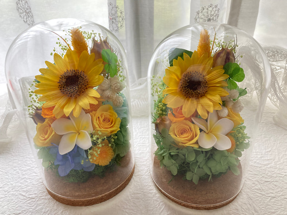 プリザーブドフラワー向日葵とプルメリアに幸せの四葉のクローバー ガラスドームアレンジ 結婚祝 敬老の日母の日ギフト 人気・おすすめ｜使いやすい・旅行におすすめ 品質保証 全国発送 正規品・日本国内発送・安心保証付き