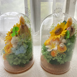 プリザーブドフラワー向日葵とプルメリアに幸せの四葉のクローバー ガラスドームアレンジ 結婚祝 敬老の日 母の日ギフト 5枚目の画像