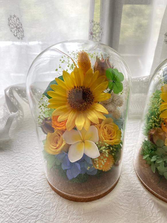 プリザーブドフラワー向日葵とプルメリアに幸せの四葉のクローバー ガラスドームアレンジ 結婚祝 敬老の日母の日ギフト 人気・おすすめ｜使いやすい・旅行におすすめ 品質保証 全国発送 正規品・日本国内発送・安心保証付き
