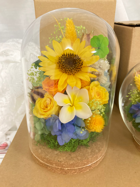 プリザーブドフラワー向日葵とプルメリアに幸せの四葉のクローバー ガラスドームアレンジ 結婚祝 敬老の日母の日ギフト 人気・おすすめ｜使いやすい・旅行におすすめ 品質保証 全国発送 正規品・日本国内発送・安心保証付き