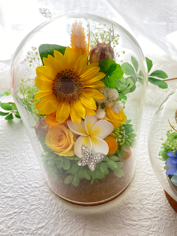 プリザーブドフラワー向日葵とプルメリアに幸せの四葉のクローバー ガラスドームアレンジ 結婚祝 敬老の日母の日ギフト 人気・おすすめ｜使いやすい・旅行におすすめ 品質保証 全国発送 正規品・日本国内発送・安心保証付き
