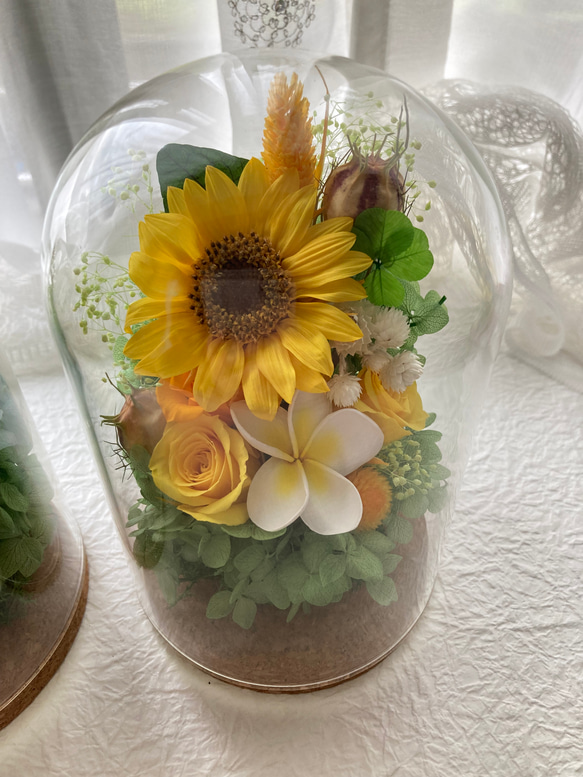 プリザーブドフラワー向日葵とプルメリアに幸せの四葉のクローバー ガラスドームアレンジ 結婚祝 敬老の日母の日ギフト 人気・おすすめ｜使いやすい・旅行におすすめ 品質保証 全国発送 正規品・日本国内発送・安心保証付き