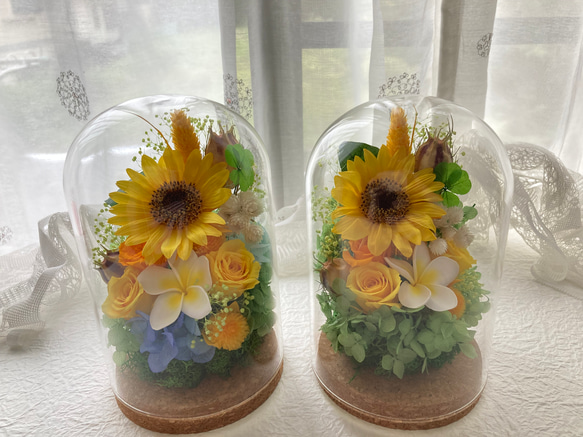 プリザーブドフラワー向日葵とプルメリアに幸せの四葉のクローバー ガラスドームアレンジ 結婚祝 敬老の日母の日ギフト 人気・おすすめ｜使いやすい・旅行におすすめ 品質保証 全国発送 正規品・日本国内発送・安心保証付き