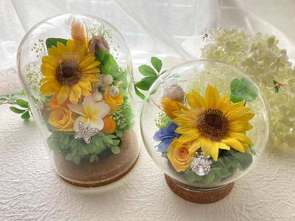 プリザーブドフラワー向日葵とプルメリアに幸せの四葉のクローバー ガラスドームアレンジ 結婚祝 敬老の日母の日ギフト 人気・おすすめ｜使いやすい・旅行におすすめ 品質保証 全国発送 正規品・日本国内発送・安心保証付き