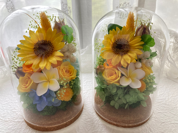 プリザーブドフラワー向日葵とプルメリアに幸せの四葉のクローバー ガラスドームアレンジ 結婚祝 敬老の日母の日ギフト 人気・おすすめ｜使いやすい・旅行におすすめ 品質保証 全国発送 正規品・日本国内発送・安心保証付き