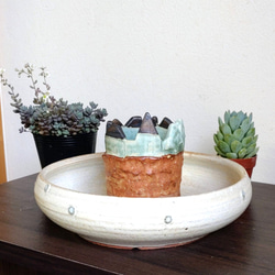 植木鉢陶器　多肉植物の魅力植木鉢　ドーナツ型 「クリーム色　丘の上の街」 1枚目の画像