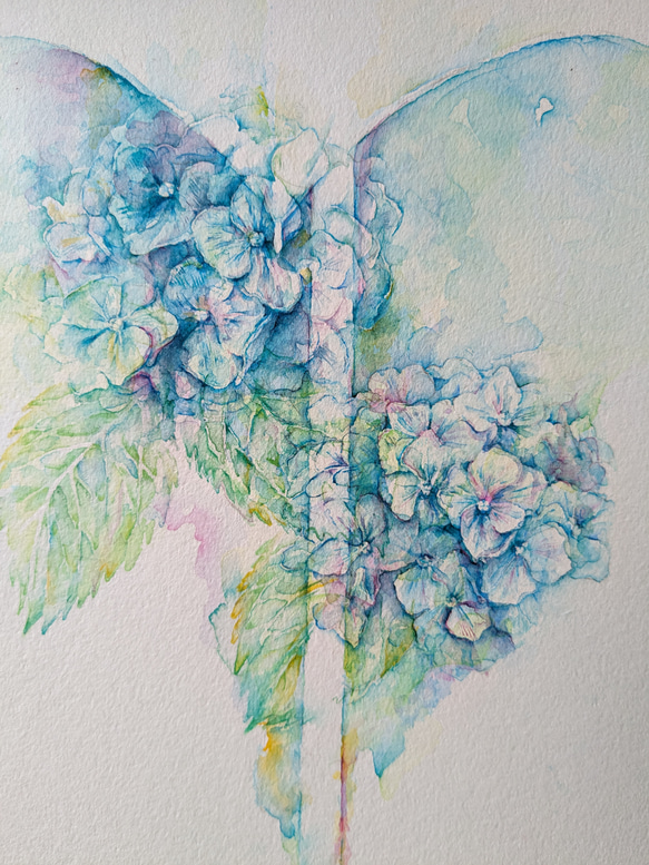 紫陽花　絵 今年の紫陽花スケッチ【鶴見緑地せせらぎエリアにて】 : 水彩的