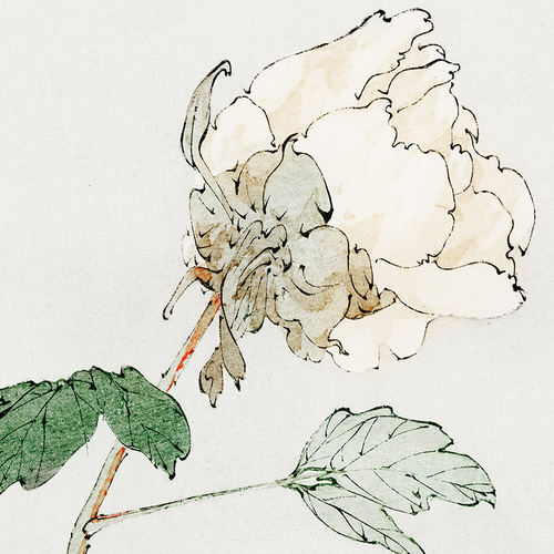 NO.469】牡丹の花日本画アートポスター☆ピンク色お正月和モダン癒し