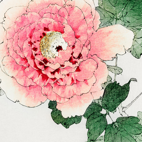 NO.469】牡丹の花日本画アートポスター☆ピンク色お正月和モダン癒し
