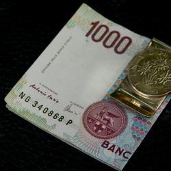 #M29  Austria Coin Money Clip 3枚目の画像