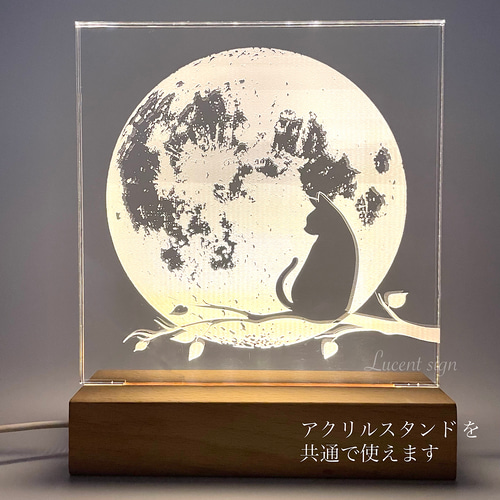 DAY6 ウォンピル サイン入りアクリルスタンド 公式マイデイムード照明 紫陽花のお色変わりムードライト (LEDライトベース付き) スタンド