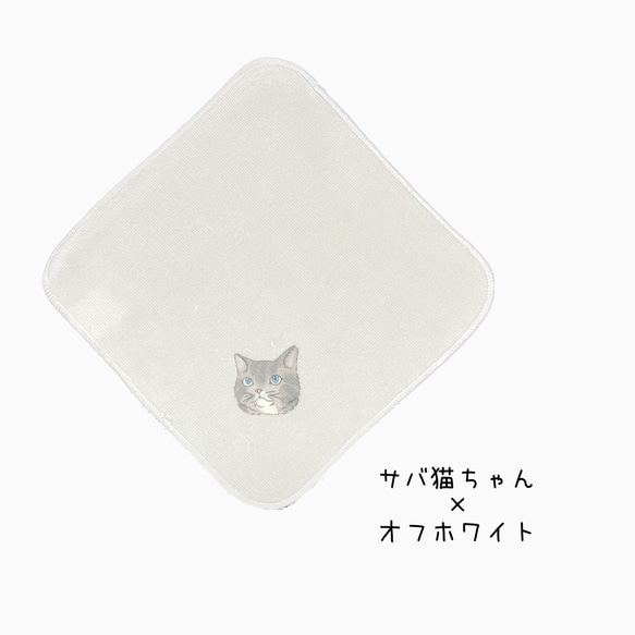 猫ちゃんハンカチ 全6種類 1枚販売☆ プレゼントにもおすすめ☆ 7枚目の画像