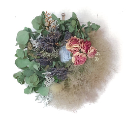 ポイント2倍 スモークツリー もふもふ フライングリース ② L φ30cm