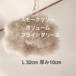 スモークツリー もふもふ フライングリース ⑥ L φ32cm  厚み10cm ドライフラワー 1枚目の画像