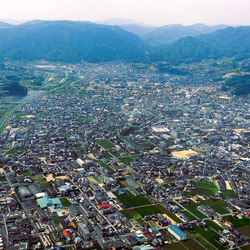 受注生産 職人手作り キャスター付き花台 グリーンインテリア 観葉植物 おうち時間 無垢材 天然木 木製雑貨 家具 LR 7枚目の画像