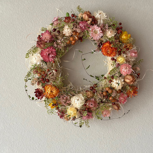 ヘリクリサムのガーデンリース ドライフラワー JiLL 通販