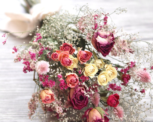 87269037af77915bc170738d76216e