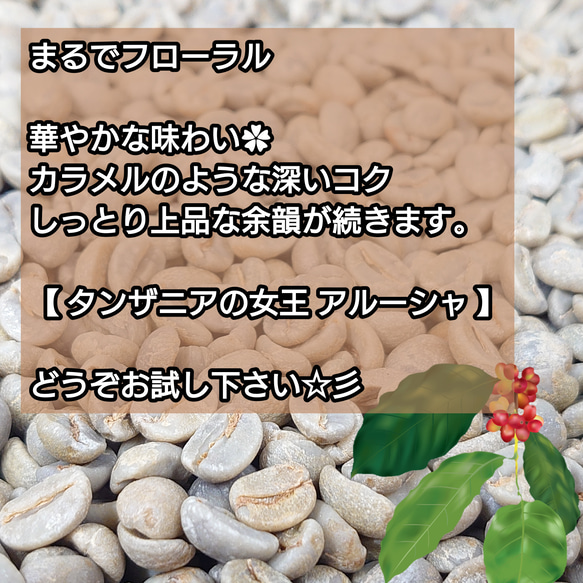 クィーンアルーシャ タンザニア 100g【84点】 スペシャルティ  コーヒー  珈琲 自家焙煎 コーヒー豆 2枚目の画像