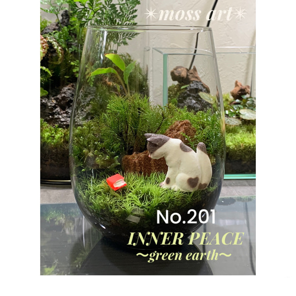 201 苔アート 苔テラリウム 猫 ネコ ねこ フィギュア 送料込み