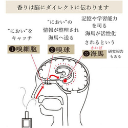 脳涼フレグランス　ミントライダー　30ml　調香　ペパーミント　レモン　ローズマリー　不眠　受験対策　アンガーマネジメン 7枚目の画像