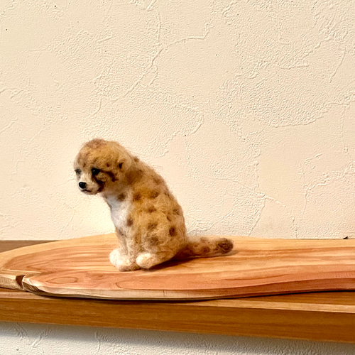 チーター赤ちゃん 羊毛フェルト よっちみかん 通販 16173300