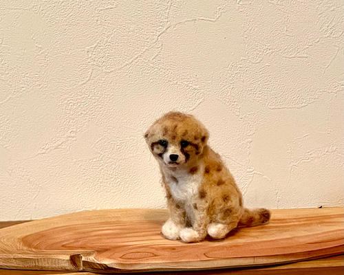 ナショナルジオグラフィック 赤ちゃんチータージャガー