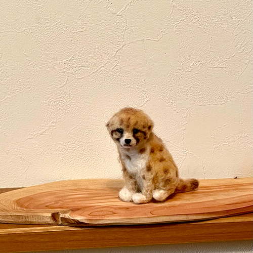 チーター赤ちゃん 羊毛フェルト よっちみかん 通販 16173300