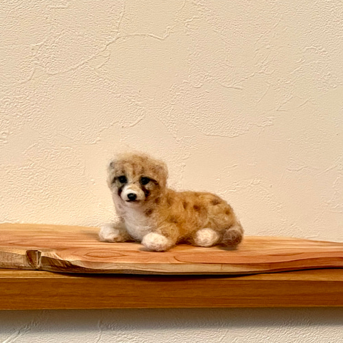 チーター赤ちゃん2 羊毛フェルト よっちみかん 通販 16173307
