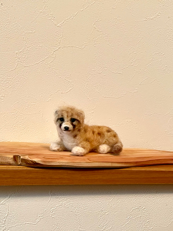 チーター赤ちゃん2 羊毛フェルト よっちみかん 通販 16173307