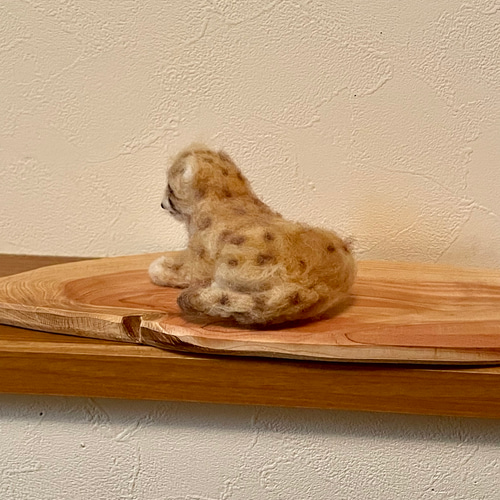 はなページ　羊毛フェルト ミーアキャットと子供のチーター ミーアキャット｜くらべてみよう！どうぶつの赤ちゃん｜学習｜本