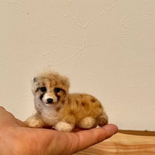 チーター赤ちゃん2 羊毛フェルト よっちみかん 通販 16173307