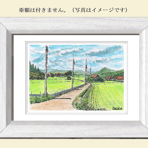 原画一点物 「夏の田んぼ」 〈ペンスケッチ＋透明水彩〉 絵画 Takashi