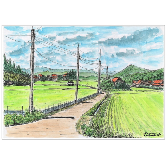 原画一点物 「夏の田んぼ」 〈ペンスケッチ＋透明水彩〉 絵画