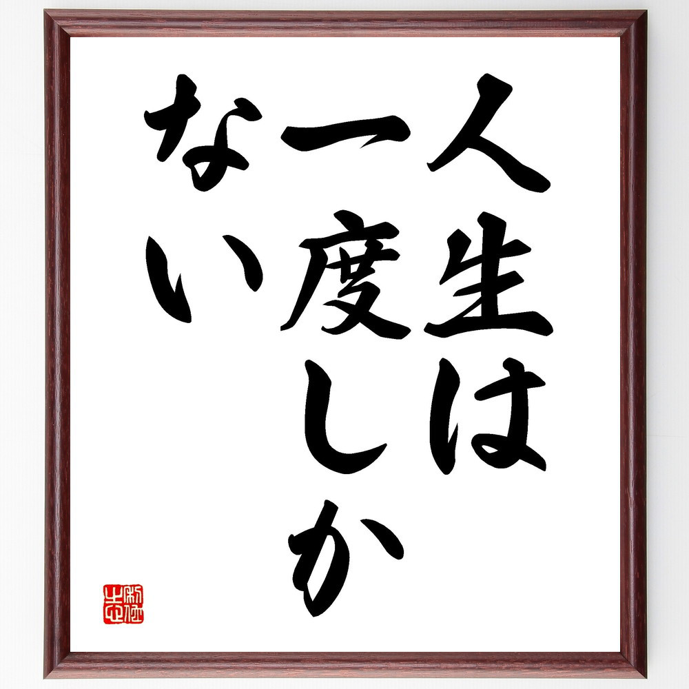 名言「人生は一度しかない」手書き書道色紙額／受注後の毛筆直筆（V3492） 4,963円