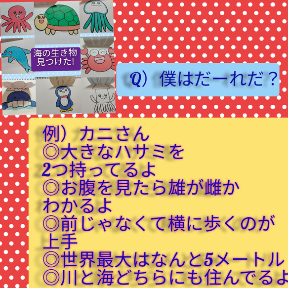 夏にピッタリ★海の生き物クイズ　スケッチブックシアター 2枚目の画像