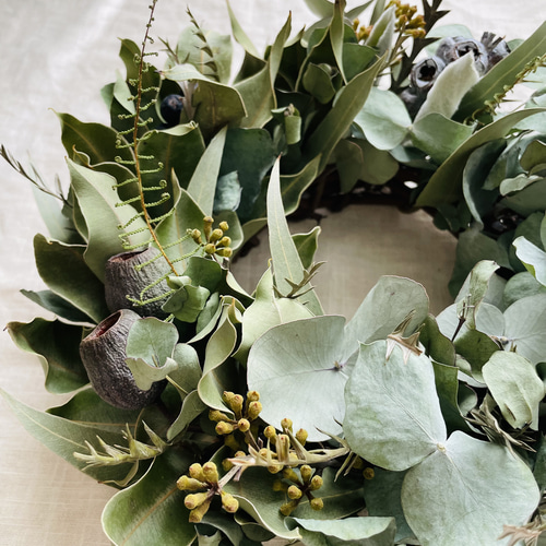 ユーカリのドライフラワーリース リース Florist lugna 通販