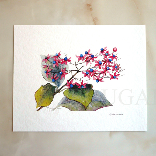 クサギ 】 ORIGINAL GICLEE 水彩画を高級紙に印刷した鑑賞用絵画シート
