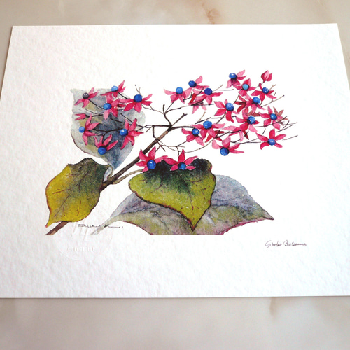 クサギ 】 ORIGINAL GICLEE 水彩画を高級紙に印刷した鑑賞用絵画シート