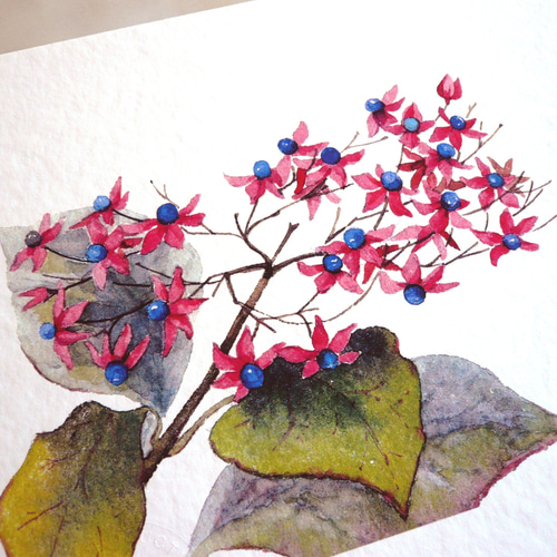 絵画   くさぎ クサギ 】 ORIGINAL GICLEE 水彩画を高級紙に印刷した鑑賞用絵画シート