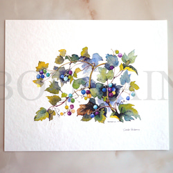 アヤメ 】 ORIGINAL GICLEE 水彩画を高級紙に印刷した鑑賞用絵画シート